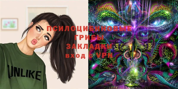 ПСИЛОЦИБИНОВЫЕ ГРИБЫ Балабаново