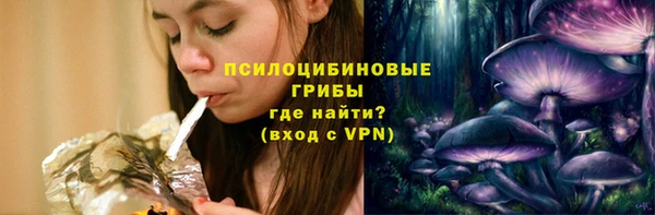 ПСИЛОЦИБИНОВЫЕ ГРИБЫ Балабаново