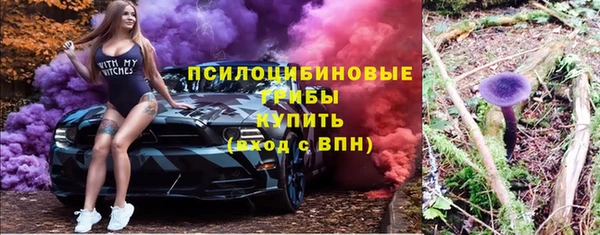 бутират Баксан