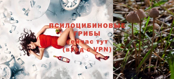 бутират Баксан