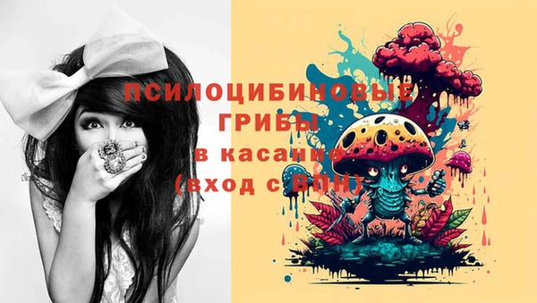 бутират Баксан