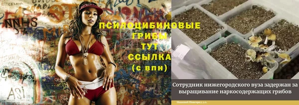 бошки Балахна