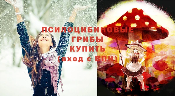 ПСИЛОЦИБИНОВЫЕ ГРИБЫ Балабаново